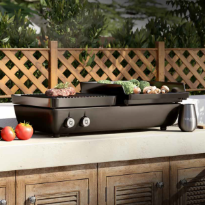 Dragonfly Ferleon Gas Patio Cookers