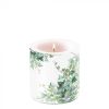 Ambiente Hedera Candle - Small 