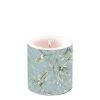 Ambiente Mistletoe All Over Candle Green - Small